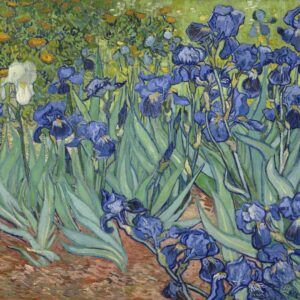 Van Gogh understanding post impressionist art online course