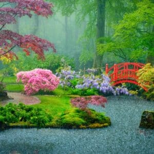 Oriental garden - japanese garden