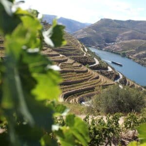 Landscape, Douro, Portugal