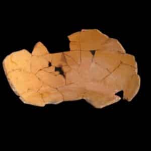 glued fragments of archaeological ceramics