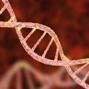 a symbol of genetics - dna chain