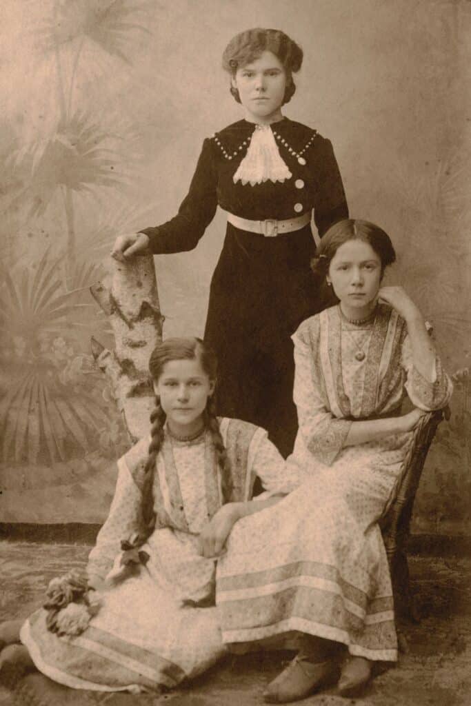 cover of family history online courses